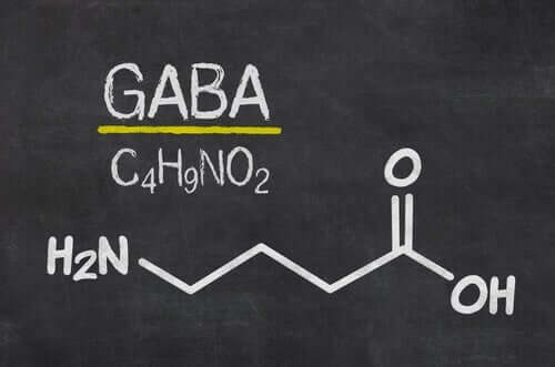 GABA utsöndras i mellanhjärnan