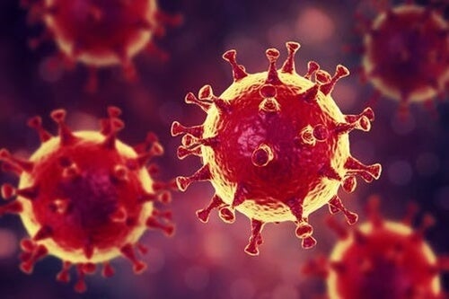 Psykologiska råd om coronaviruset: Motgift mot panik