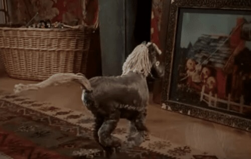 Dagdrömmar har en betydande sannolikhet att bli verklighet i framtiden