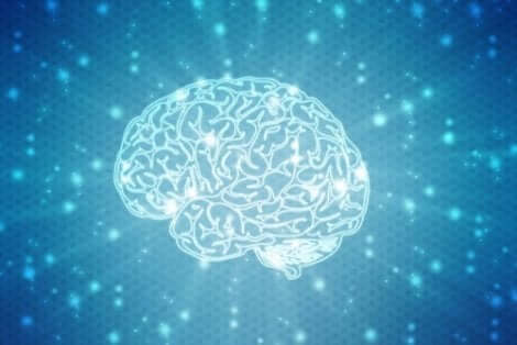 En hjärna upplyst av neuropsykologisk rehabilitering