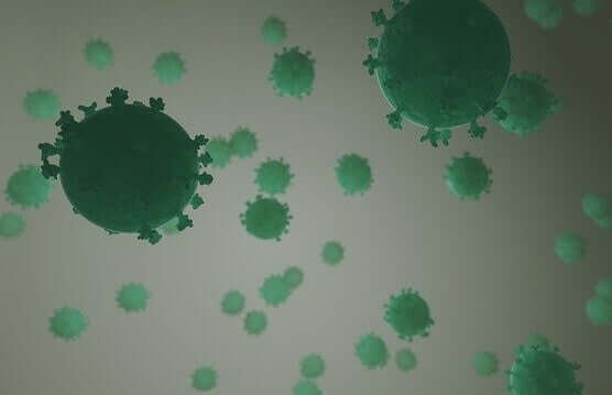 Virus har olika sätt att invadera levande organismer
