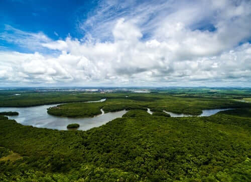 Ett fotografi av Amazonasfloden