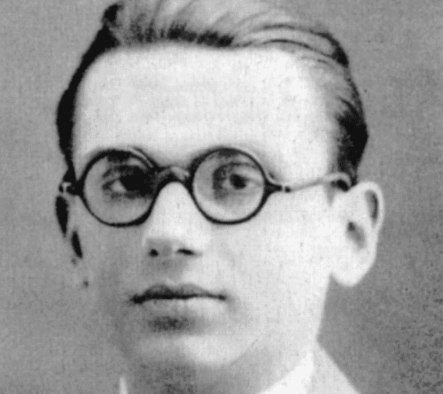 Logikern Kurt Gödel: En biografi över "Mr.Why"