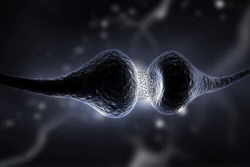Synapser