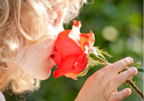 Ett barn som luktar på en ros