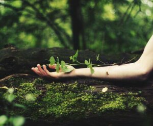 Om jag tror på mig själv, kommer jag aldrig att sluta växa