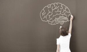 Varför använder psykologer WISC-testet som verktyg?