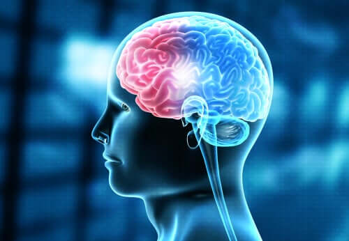 Gerstmanns syndrom är en ovanlig neurologisk sjukdom