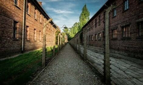 En stig mellan taggtrådsstängsel i koncentrationsläger