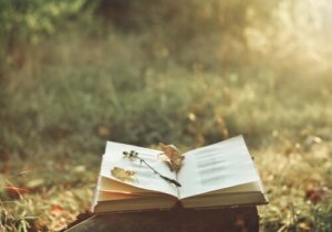 Hur poesi kan lindra smärta och förbättra livet