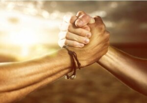 Gahuku-Gama: jämlikhet och solidaritet