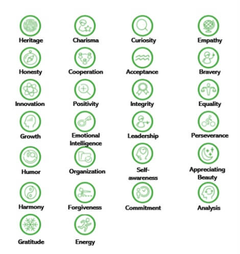 Styrkor enligt FORTE-konceptet