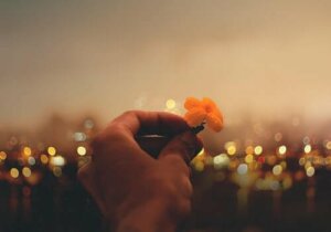 Viktor Frankls kloka ord om kärlek, mening och mod