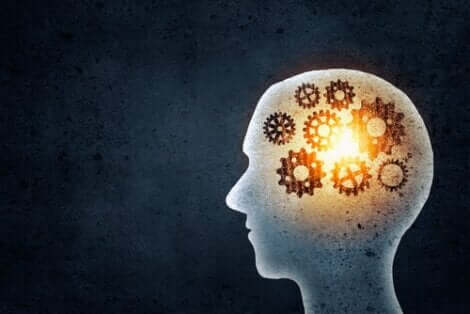 Ett huvud fullt av kugghjul