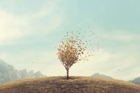 Ett träd på en kulle