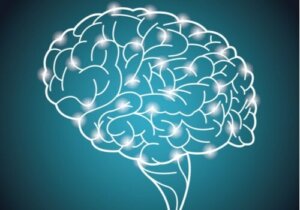 Världens största experiment om intelligens