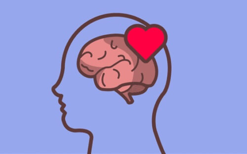 En hjärna och ett hjärta som representerar känsloreglering