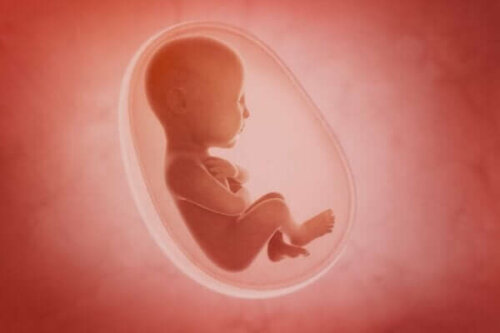 Den sensoriska utvecklingen hos ofödda och nyfödda