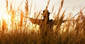 Halmdockeförslag för problemlösning