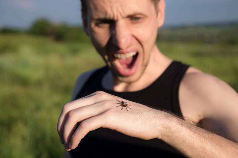 Arachnofobi, en överdriven rädsla för spindlar