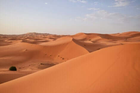 En bild av Saharaöknen