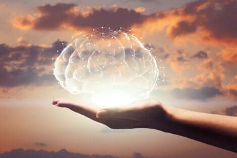 Någon som håller en hjärna i handen