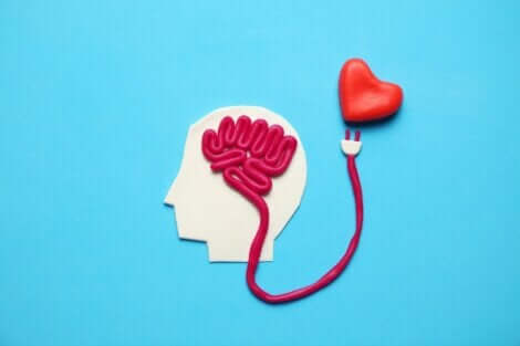 En hjärna och ett hjärta, sammanbundna med lyckohormoner