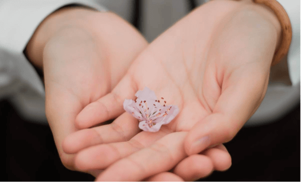 Mänsklig medkänsla bygger på respekt av allt i vår omgivning