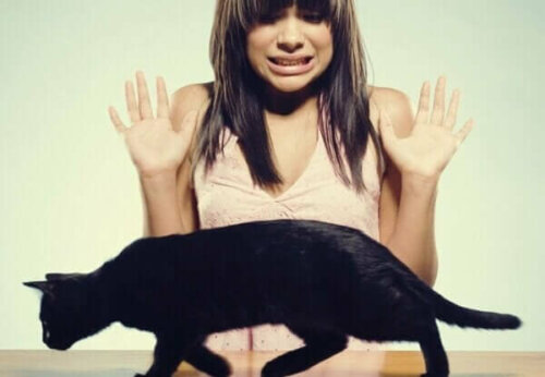 En kvinna med ailurofobi