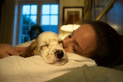 Sova med dina husdjur: hälsofördelarna och riskerna