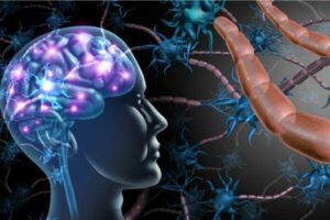 Skillnaderna mellan multipel skleros och ALS