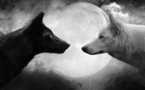 Skillnaderna mellan konstruktiv och destruktiv kritik