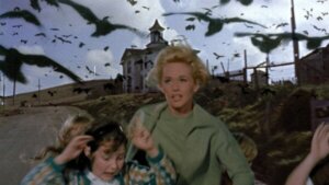Filmen Fåglarna: Släpp lös ornitofobi