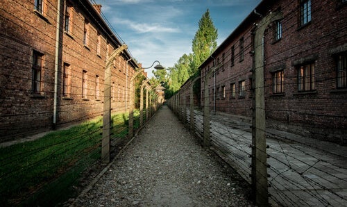 En fantastisk kärlekshistoria mitt i Auschwitz fasor