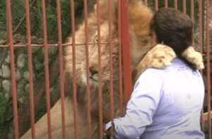 Ana Julia Torres - djurens frälsare