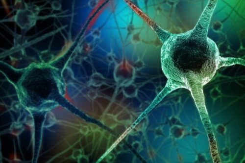 Åtta vanor som dödar nervceller