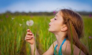 Den vackra legenden om maskrosen