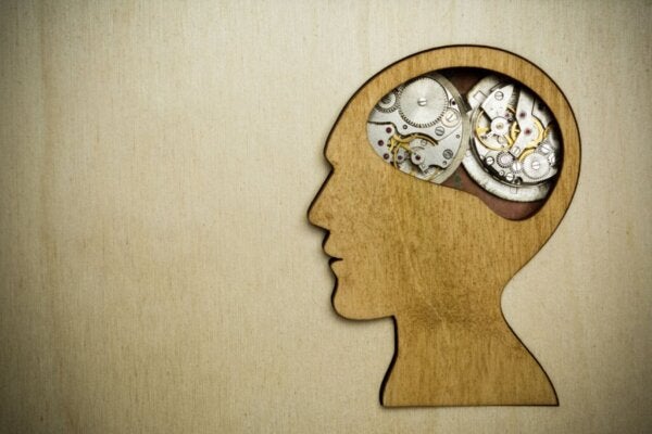 Teorin om sociala zeitgebers