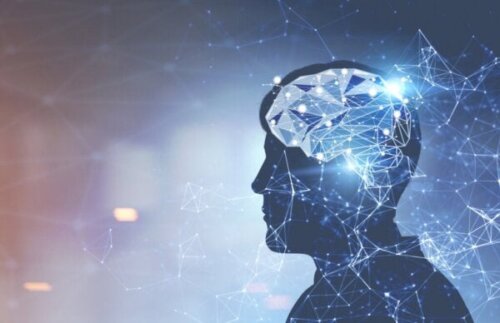 David Eagleman: biografi om en hjärnexpert