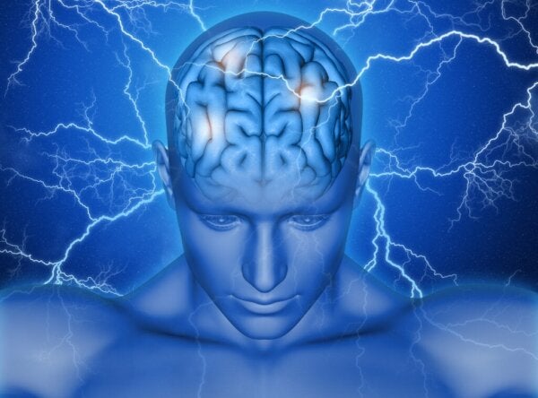 Kompletterande motoriska området i hjärnan