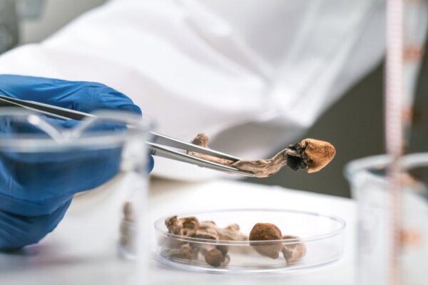 Användning av psykedelika vid behandling av terminala sjukdomar