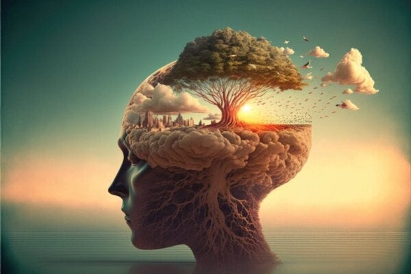 7 skillnader mellan hjärnan och sinnet