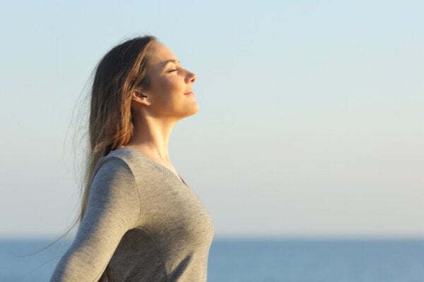 Doing What Matters in Times of Stress: En WHO-guide